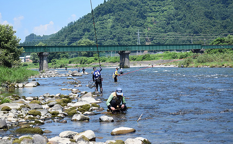 遊漁年券A2あゆ　竿釣（コロガケ、ルアー、餌、毛鉤釣りのみ）（但し魚沼漁業協同組合の範囲内に限ります）