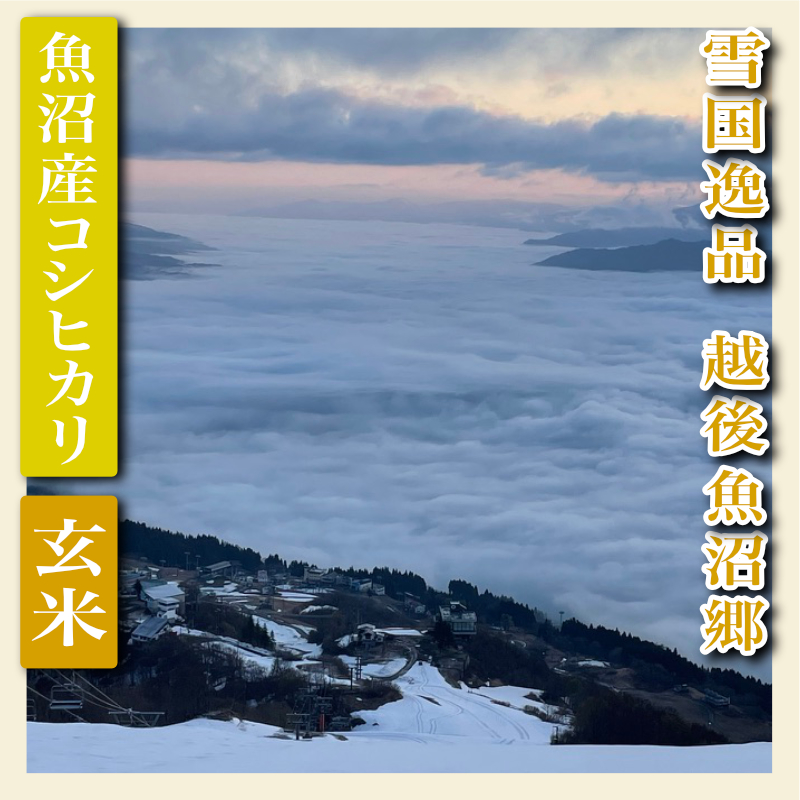 【先行予約 令和8年産】 雪国逸品 玄米2Kg 越後魚沼郷 魚沼産コシヒカリ お米 ブランド米 銘柄米 ご飯 おにぎり お弁当 和食 産地直送 香り つや 粘り 