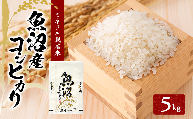 先行予約 令和8年産 魚沼産コシヒカリ ミネラル栽培米（精米）5kg
