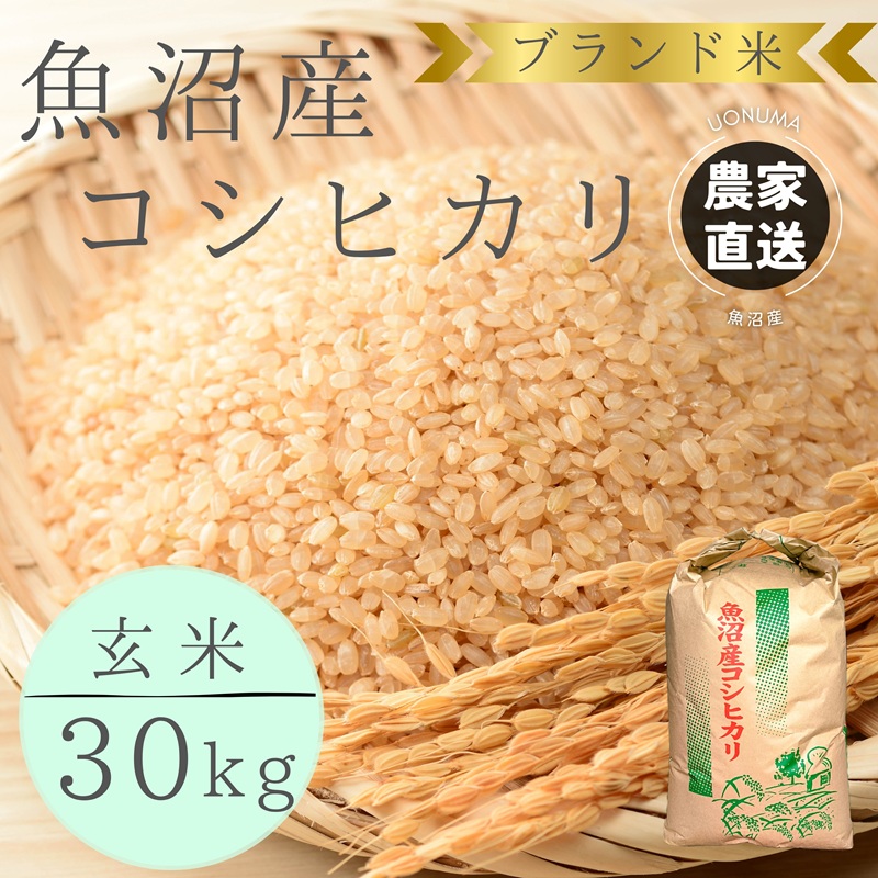 先行予約 令和8年産 ブランド米 魚沼産コシヒカリ 玄米 30kg 米 こしひかり 新潟