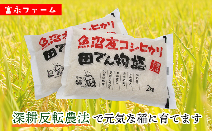 令和8年産 先行予約 「田でん物語」魚沼産コシヒカリ（精米）4kg（2kg×2） お米 白米 ご飯 ブランド米 銘柄米 精米したて 新潟県産 直送 主食 炭水化物 