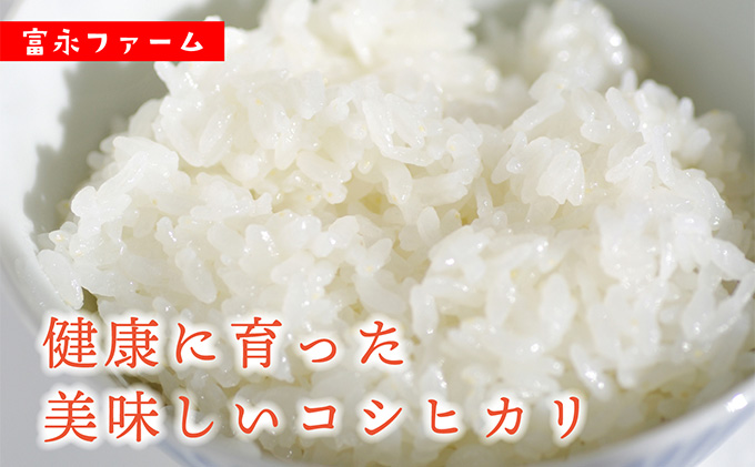 令和8年産 先行予約 「田でん物語」魚沼産コシヒカリ（精米）4kg（2kg×2） お米 白米 ご飯 ブランド米 銘柄米 精米したて 新潟県産 直送 主食 炭水化物 