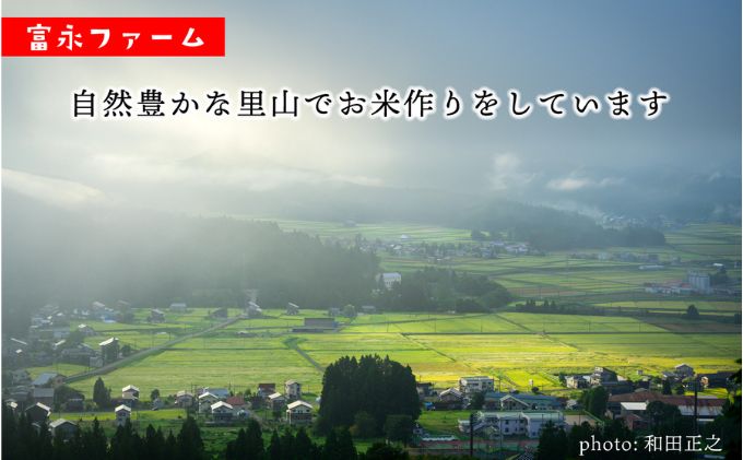 令和8年産 先行予約 「田でん物語」魚沼産コシヒカリ（精米）20kg（5kg×4） お米 白米 ご飯 ブランド米 銘柄米 精米したて 新潟県産 直送 主食 炭水化物 