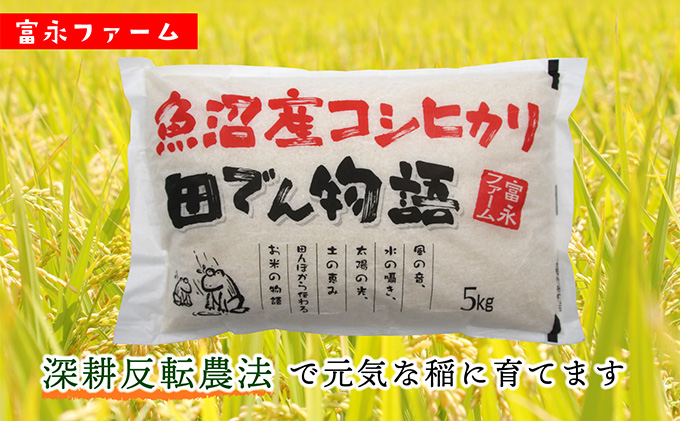 令和8年産 先行予約 「田でん物語」魚沼産コシヒカリ（精米）20kg（5kg×4） お米 白米 ご飯 ブランド米 銘柄米 精米したて 新潟県産 直送 主食 炭水化物 