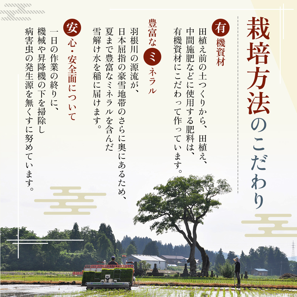 令和7年産 魚沼 天下一コシヒカリ（商標） 3kg 本当に旨い飯に おかずはいらない 魚沼産 コシヒカリ ( 米 お米 こめ コメ おこめ 白米 こしひかり ) 新潟県 