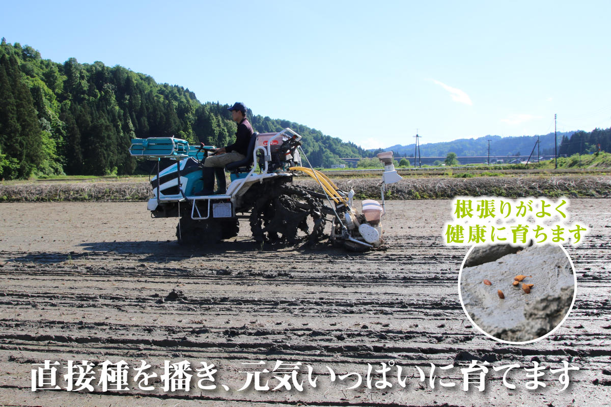 農家直送！ 魚沼産 コシヒカリ 無洗米 2kg 6ヶ月 連続お届け （ 米 定期便 こしひかり お米 こめ コメ 魚沼産コシヒカリ 魚沼 新潟 魚沼産こしひかり おこめ 白米 定期 お楽しみ 6回 ）