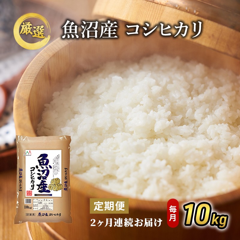 魚沼産コシヒカリ 10kg 2ヶ月 連続お届け （ 米 定期便 コシヒカリ 魚沼産 精米 白米 お米 こめ コメ こしひかり 魚沼 2回 お楽しみ ）