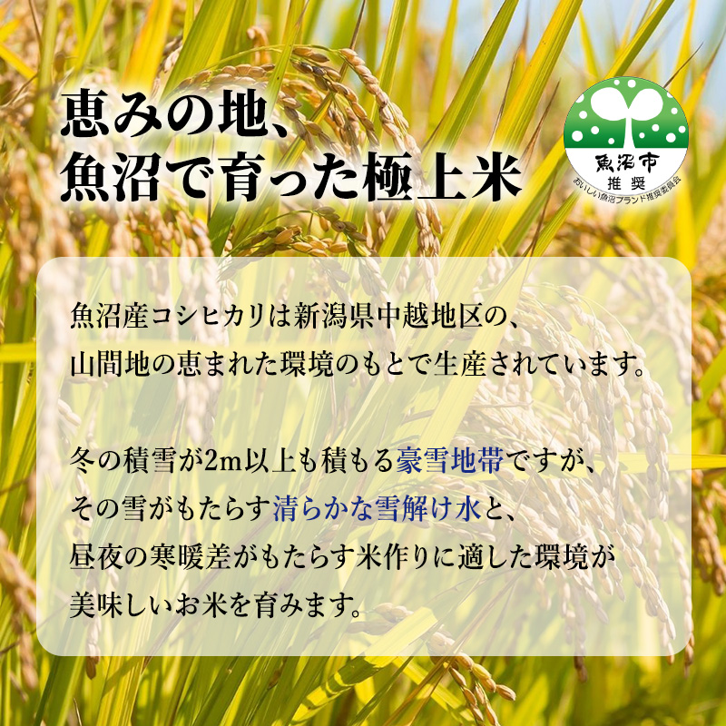 【特別栽培米】お米アドバイザー厳選　魚沼産コシヒカリ（精米）5kg　4ヶ月連続