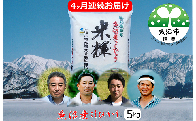 新潟県認証【特別栽培米】魚沼産こしひかり　5kg　4ヶ月連続お届け