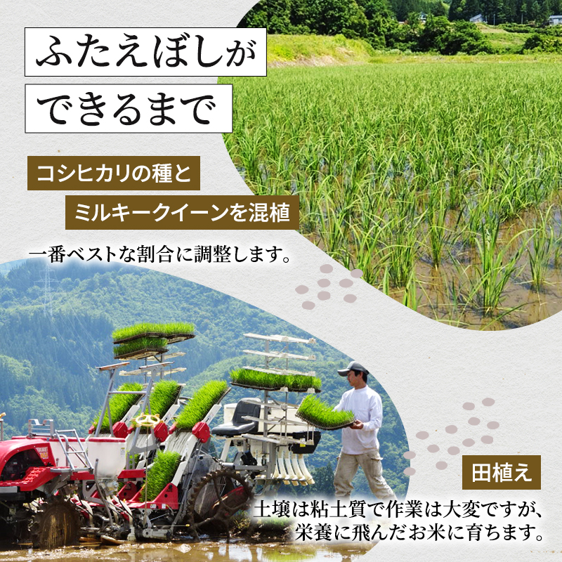 【令和6年産】魚沼産特別栽培ふたえぼし 精米5kg 米 こめ お米 コメ ふたえぼし 新潟県 魚沼市 魚沼 特別栽培米 