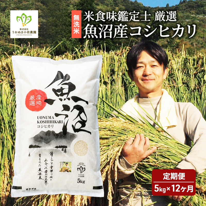 頒布 無洗米 定期便 12ヶ月 コシヒカリ 5kg 米 白米 お米 魚沼産コシヒカリ 新潟米 新潟 魚沼市 定期 12回