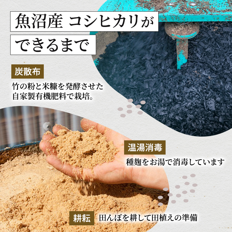 莉、蜥7蟷エ逕」 辟。豢礼アウ 邀ウ鬟溷袖髑大ョ壼」ォ 蜴ウ驕ク 鬲壽イシ逕」 繧ウ繧キ繝偵き繝ェ 6kg シ 3kg テ 2陲 シ会シ 邀ウ 縺薙@縺イ縺九j 6kg 縺顔アウ 譁ー貎 鬲壽イシ 鬲壽イシ逕」繧ウ繧キ繝偵き繝ェ 鬲壽イシ逕」縺薙@縺イ縺九j 縺薙a シ 譁ー貎溽恁