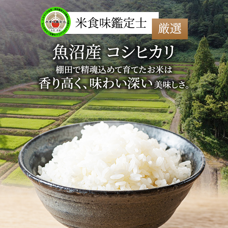 無洗米 米食味鑑定士 厳選 魚沼産 コシヒカリ 5kg 6ヶ月 連続お届け （ 米 定期便 こしひかり 定期 お米 新潟 魚沼 魚沼産コシヒカリ 魚沼産こしひかり こめ コメ おこめ 白米 お楽しみ 6回 ） 新潟県 