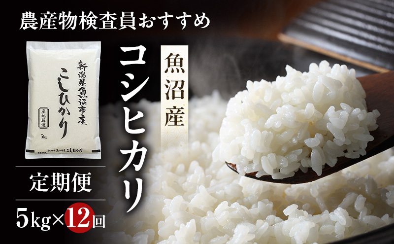 農産物検査員お奨め 魚沼産 こしひかり 精米 5kg 12ヶ月 連続お届け （ 米 定期便 コシヒカリ お米 定期 新潟 魚沼 魚沼産コシヒカリ 魚沼産こしひかり こめ コメ おこめ 白米 お楽しみ 12回 ） 新潟県