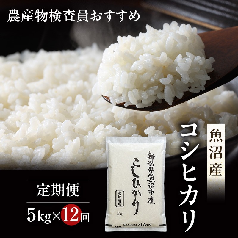 農産物検査員お奨め 魚沼産 こしひかり 精米 5kg 12ヶ月 連続お届け （ 米 定期便 コシヒカリ お米 定期 新潟 魚沼 魚沼産コシヒカリ 魚沼産こしひかり こめ コメ おこめ 白米 お楽しみ 12回 ） 新潟県