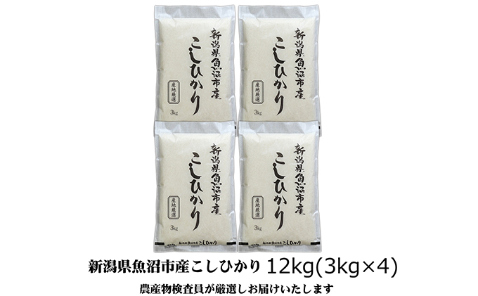 令和6年産 農産物検査員お奨め 魚沼産こしひかり（精米）12kg（3kg×4）