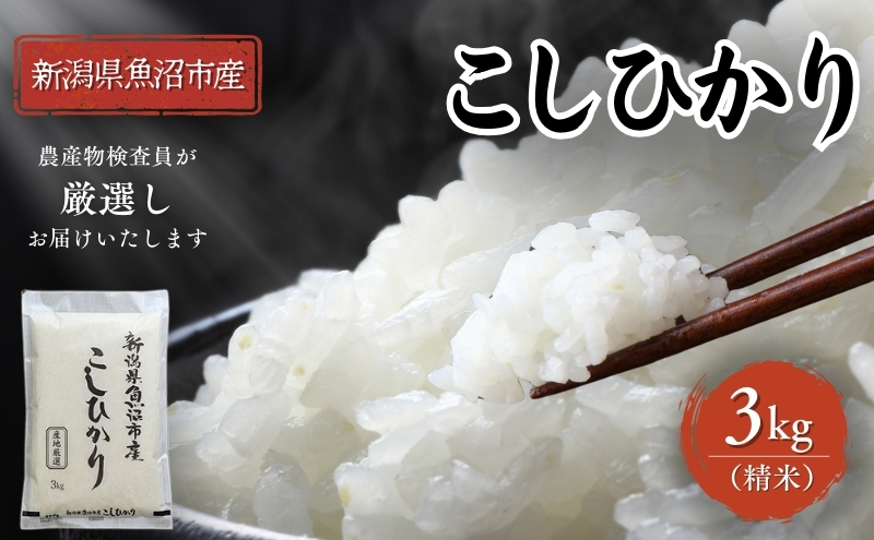 令和7年産 農産物検査員お奨め 魚沼産こしひかり（精米）3kg お米 コシヒカリ