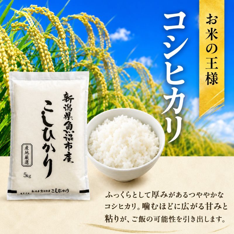 令和7年産 農産物検査員お奨め 魚沼産こしひかり（精米）6kg（3kg×2） お米 コシヒカリ 