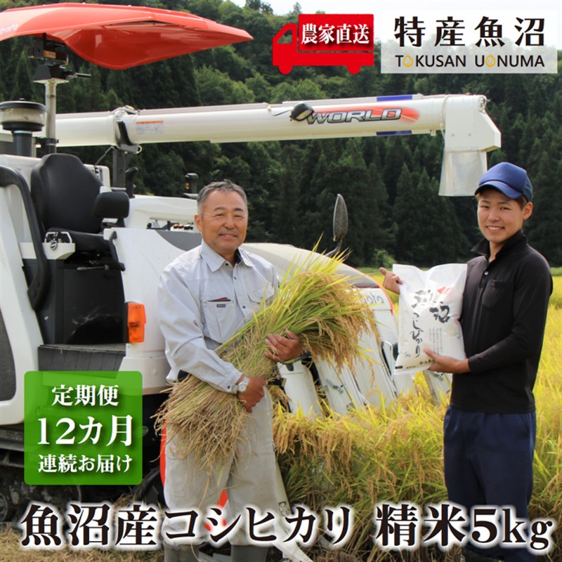 米 定期便 12ヶ月 コシヒカリ 5kg 精米 白米 お米 魚沼産コシヒカリ 新潟米 新潟 魚沼市 定期 12回