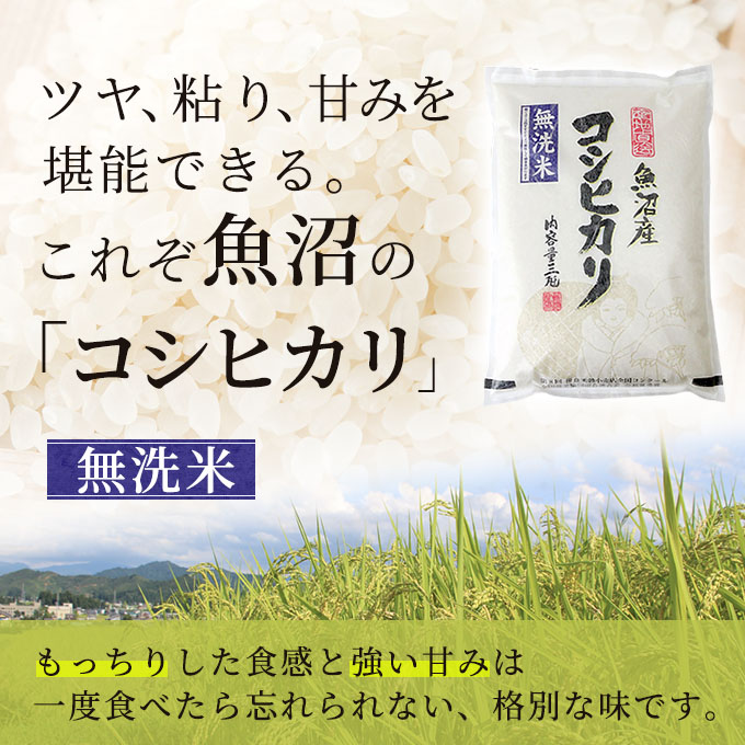 お米マイスター厳選 魚沼産 コシヒカリ 100％ 3kg 6ヶ月 連続お届け ( 米 定期便 無洗米 お米 こめ コメ おこめ 白米 こしひかり 6回 18kg お楽しみ ) 新潟県 