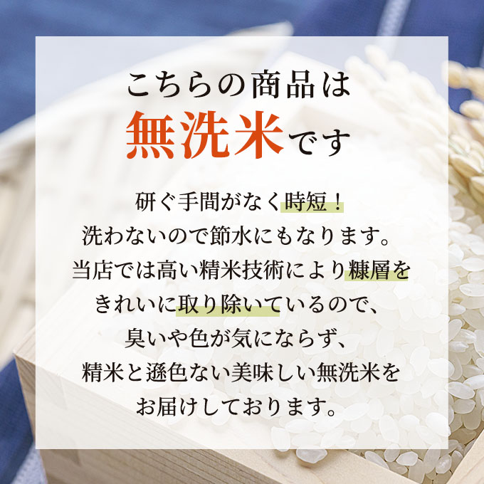 お米マイスター厳選  魚沼産コシヒカリ（無洗米）9kg（3kg×3）6ヶ月連続お届け