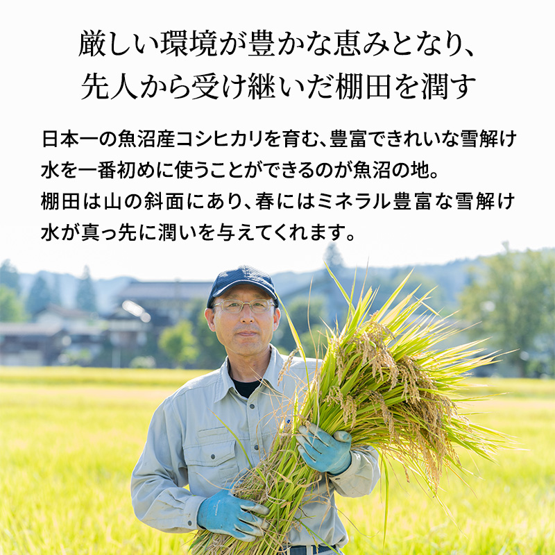 [令和5年産]米農家自慢の 特別栽培米 魚沼産 コシヒカリ（精米）5kg×1袋