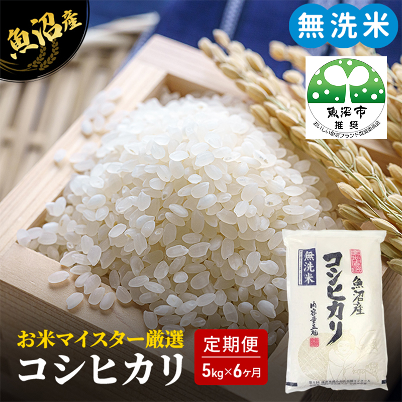 無洗米 定期便 6ヶ月 コシヒカリ 5kg 米 白米 お米 魚沼産コシヒカリ 新潟米 新潟 魚沼市 定期 6回