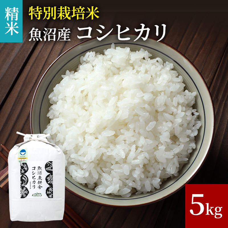 [令和5年産]特別栽培米魚沼産コシヒカリ（精米）5kg
