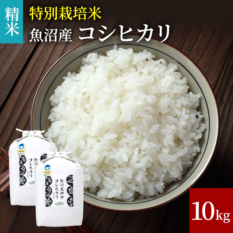 [令和5年産]特別栽培米 魚沼産コシヒカリ（精米）10kg