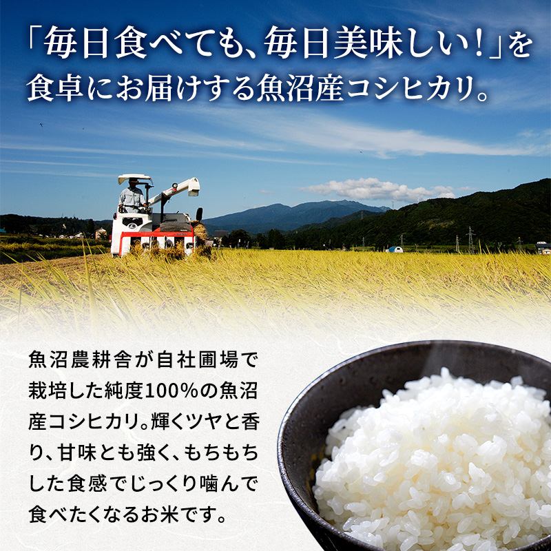 米農家自慢の特別栽培米魚沼産コシヒカリ(精米)10kg(5kg×2袋)隔⽉全6回お届け