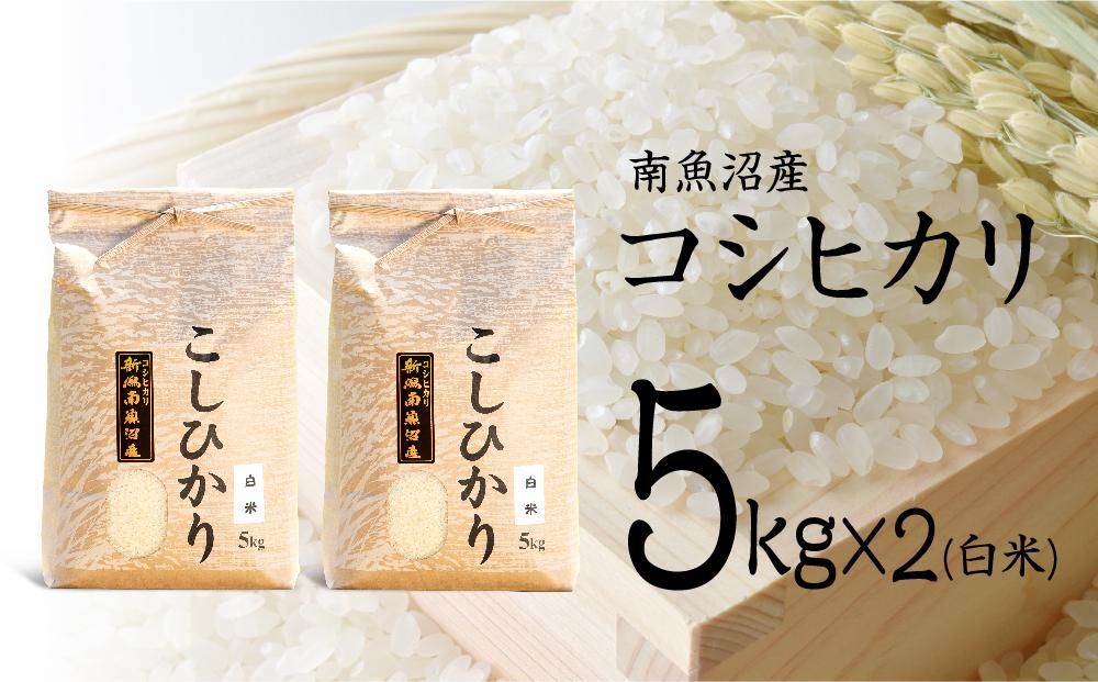 【12月20日ご入金確認分まで年内発送】【令和7年産 新米】南魚沼産コシヒカリ（白米）【5kg×2】【令和7年11月下旬以降発送】