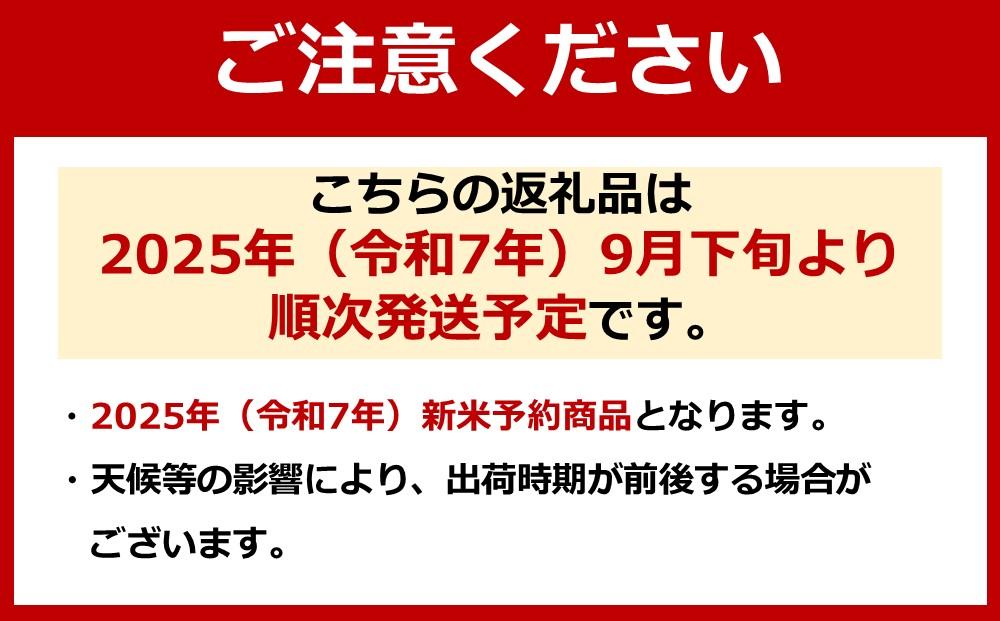 【令和７年産・新米予約】新潟県南魚沼産（塩沢地区）はちみつ米コシヒカリ 10kg※蜂蜜発酵液肥料栽培【2025年9月下旬より順次発送予定】