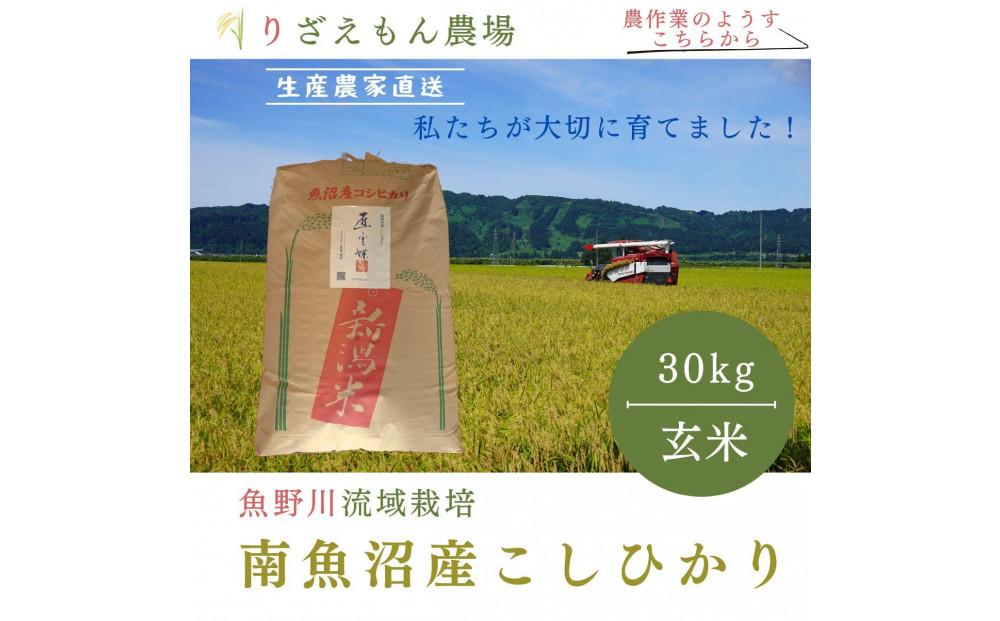 《新米予約受付》玄米30kg　令和６年産　南魚沼産　コシヒカリ　こしひかり　魚野川流域　匠 雲蝶(たくみ　うんちょう）＼生産農家直送／