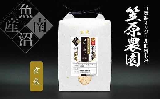 【令和6年産新米】南魚沼産 笠原農園米 十年間農薬不使用コシヒカリ玄米 2kg