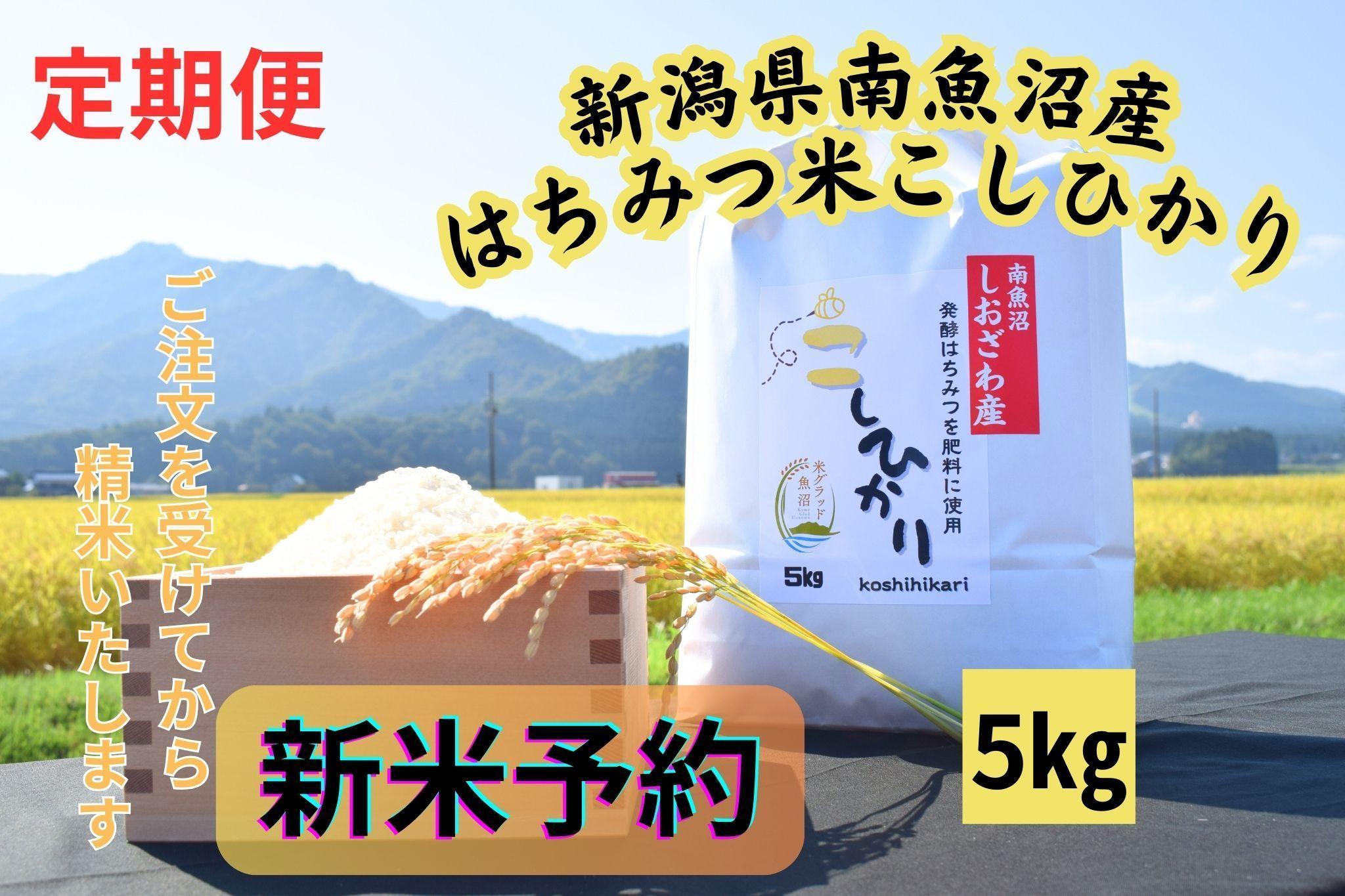 【令和７年産・新米予約・定期便】新潟県南魚沼産（塩沢地区）はちみつ米コシヒカリ 5kg×６か月　※蜂蜜発酵液肥料栽培【2025年9月下旬より順次発送予定】