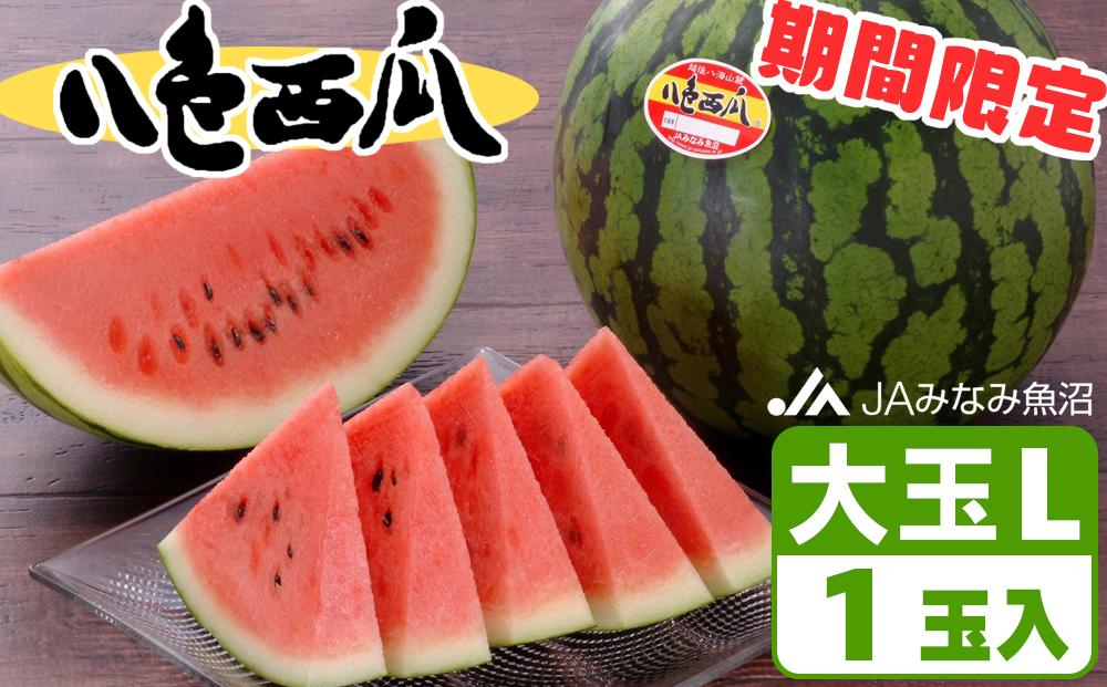 【期間限定】八色西瓜（大玉 Lサイズ) ×1玉【2026年7月25日～2026年8月8日発送予定】【西瓜 南魚沼市 夏季限定 フルーツ ギフト 贈答用 大玉スイカ Lサイズ 産地直送 新潟県 果物 甘い みずみずしい 農産物 季節の果物 食べごろ 夏の味覚 新鮮 スイカ 夏の贈り物 旬のフルーツ】