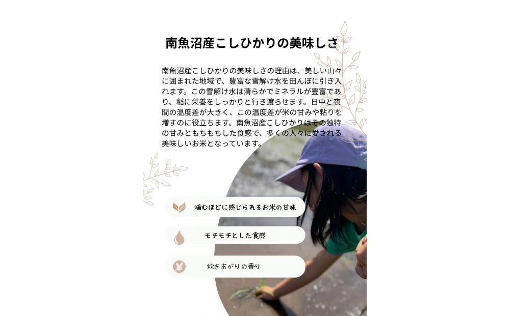 令和7年 南魚沼産こしひかり3kg