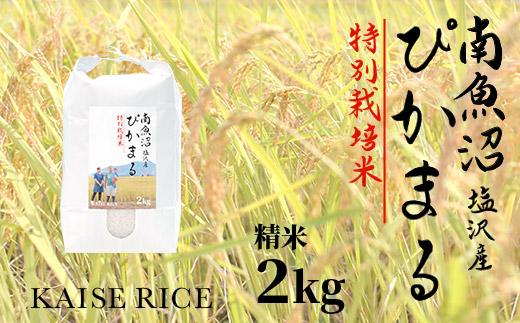 【令和7年産】南魚沼産塩沢【ぴかまる】（特別栽培米８割減農薬）精米２ｋｇ