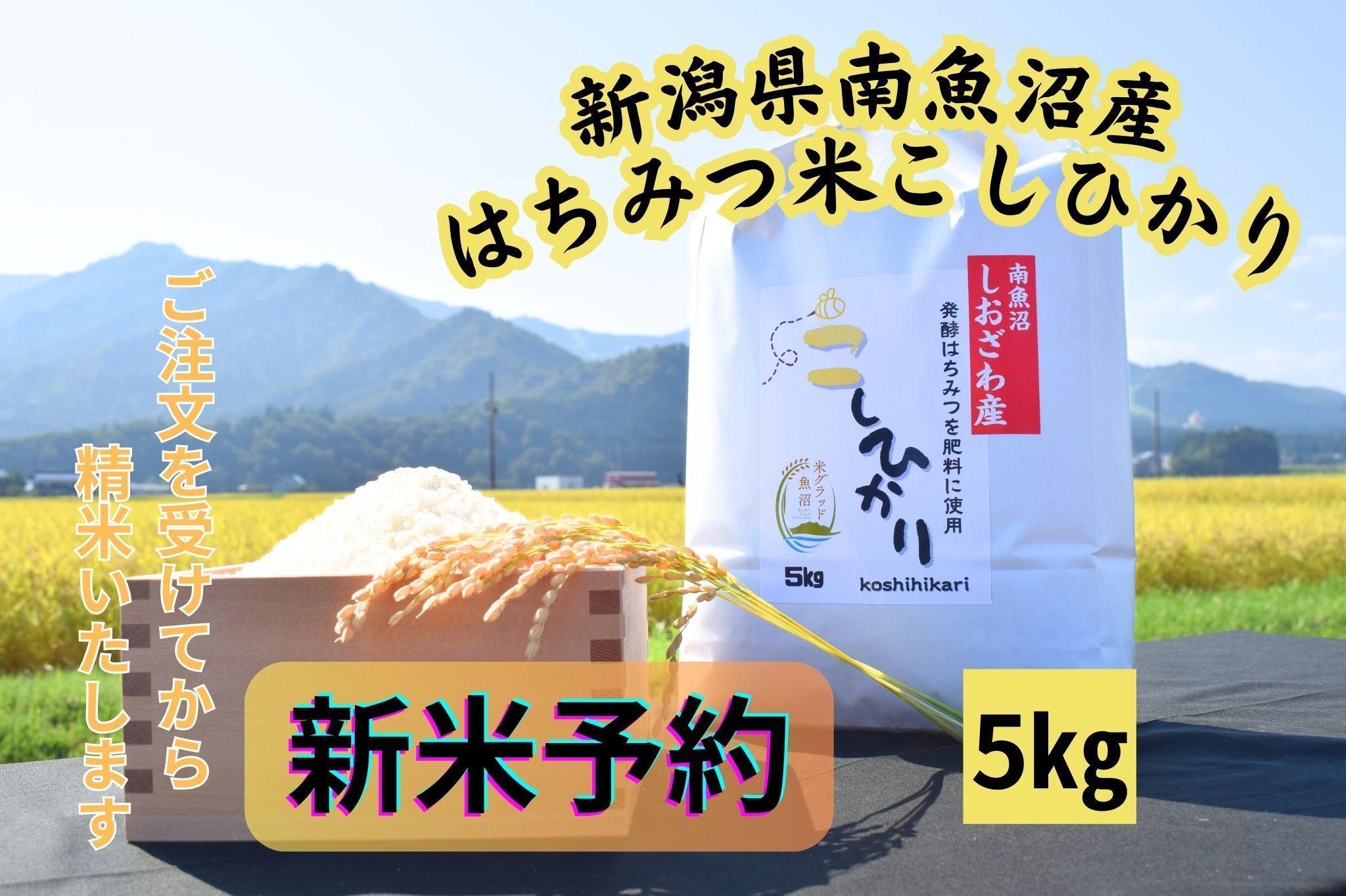 【令和8年産・新米予約】新潟県南魚沼産（塩沢地区）はちみつ米コシヒカリ 5kg※蜂蜜発酵液肥料栽培【銘柄米 ブランド米 精米 こしひかり コシヒカリ 魚沼産 新潟米】【2026年9月下旬より1ヶ月以内に順次発送予定】