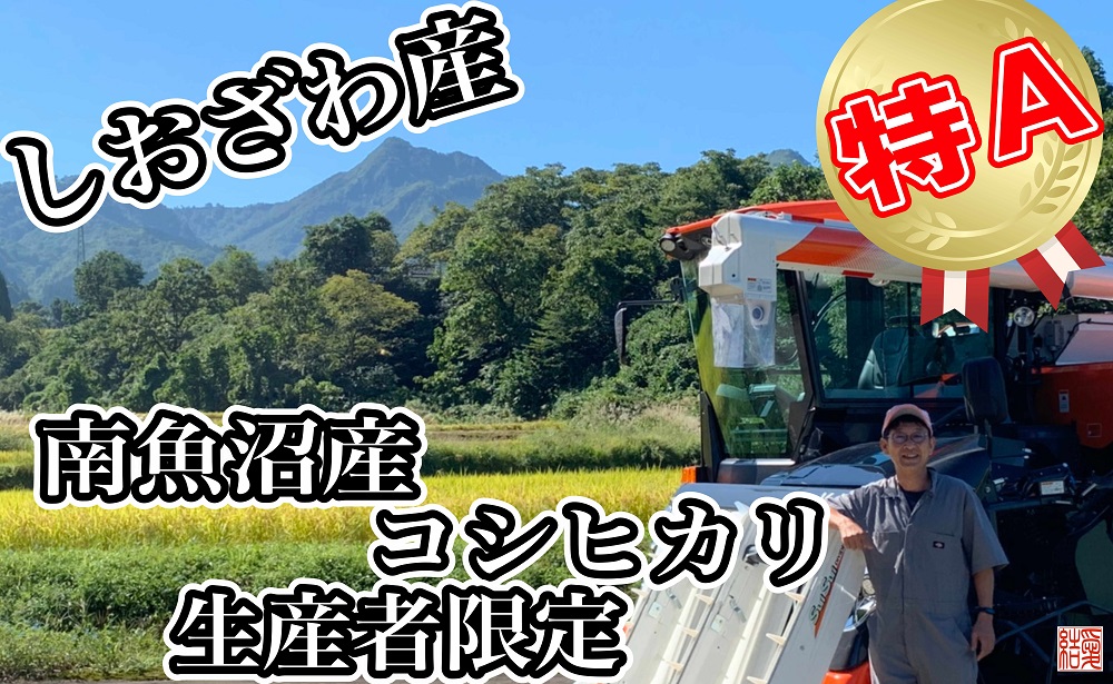 【令和7年産】【定期便／４kg×9ヶ月】生産者限定 契約栽培 南魚沼しおざわ産コシヒカリ