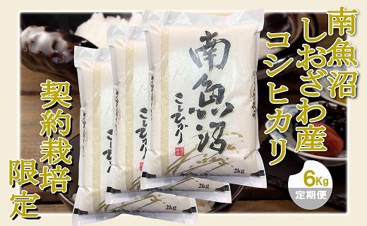 【令和7年産】【定期便 精米６Kg×９ヶ月】契約栽培限定 南魚沼しおざわ産コシヒカリ
