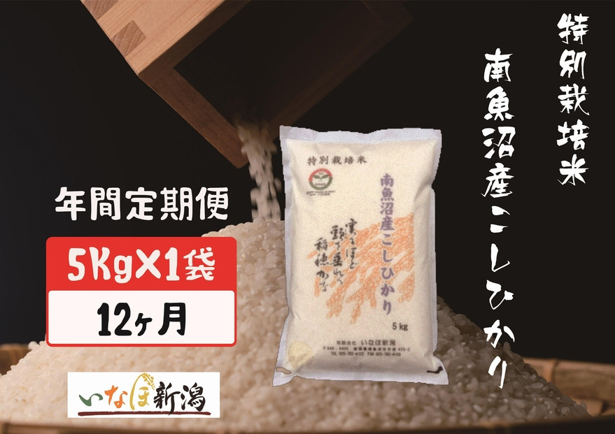 【令和7年度産】【定期配送】南魚沼産コシヒカリ特別栽培米 白米 5kg 全12回