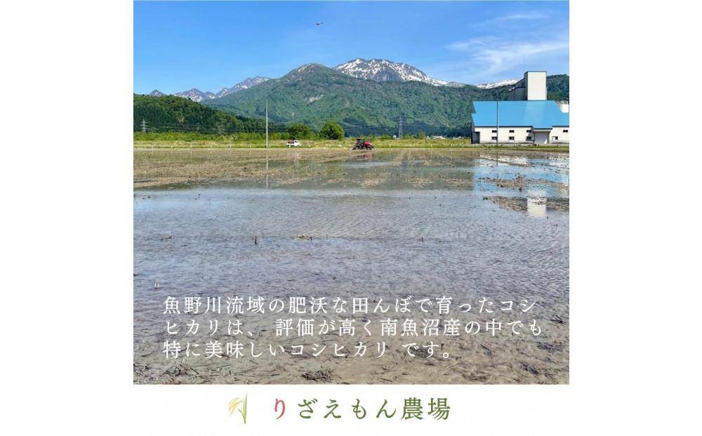 《新米》【定期便６回×２kg≪合計１２kg≫】令和６年産　南魚沼産コシヒカリ  白米 2kg　＼生産農家直送／