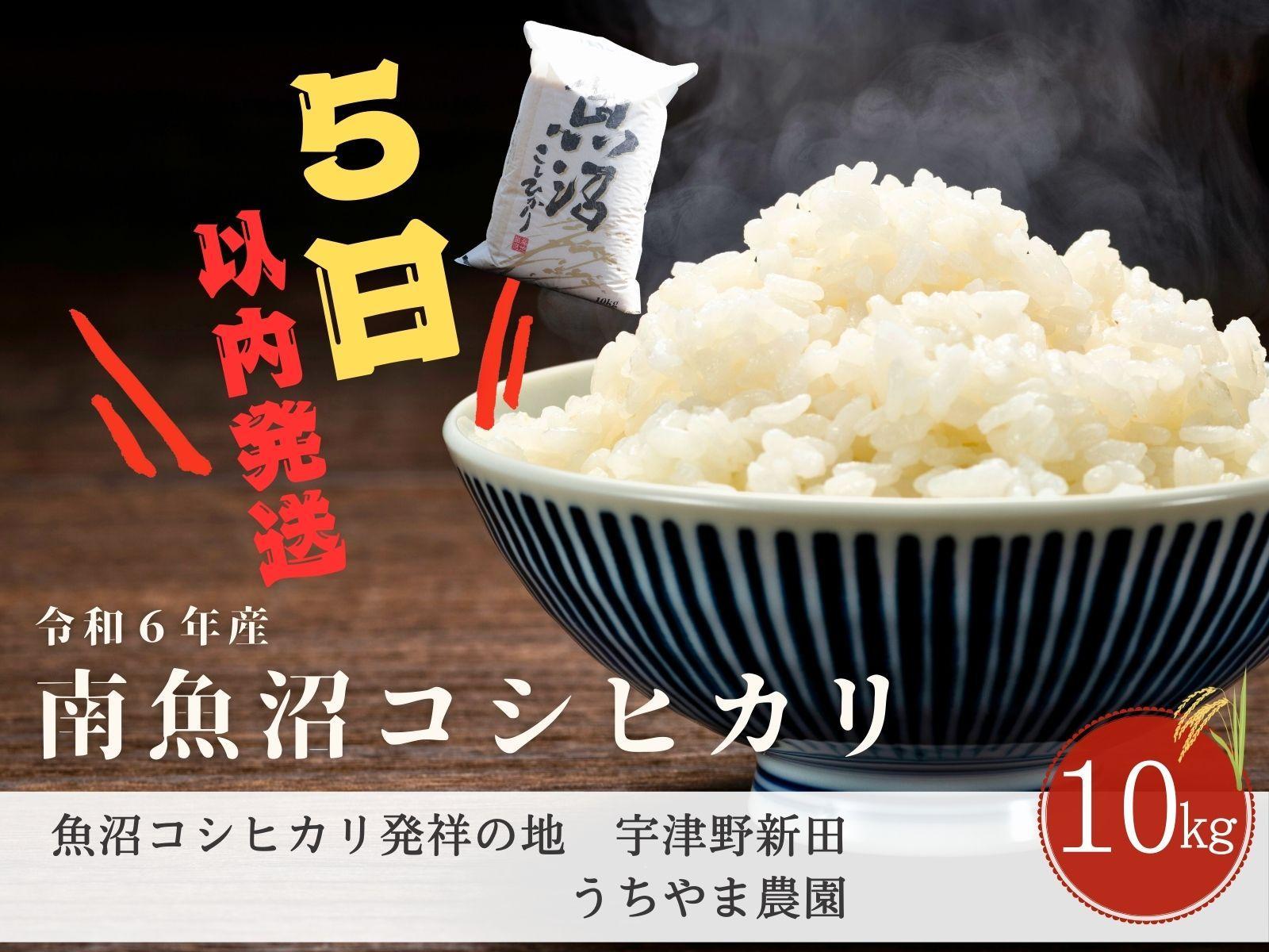 【5日以内発送/令和6年産/10kg】南魚沼産コシヒカリ　うちやま農園のお米【発祥の地】