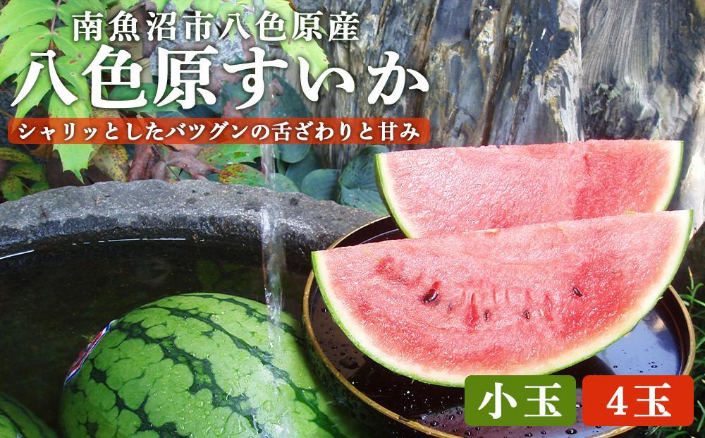 å
è¡äºçŽãé«çŽãå
«è²åãããå°çïŒçã2026幎7æäžæ¬çºéãããå±ãæ¥ææå®äžå¯ã