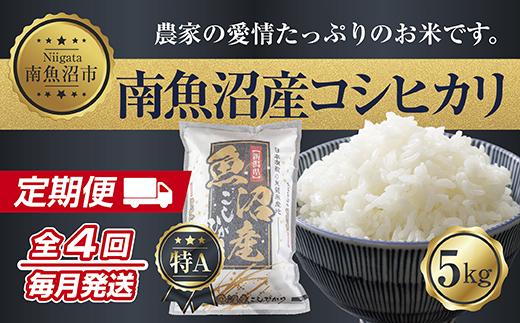 ã什å7幎ç£ããå®æäŸ¿ãæ°æœç åéæ²Œç£ ã³ã·ãã«ãª ãç±³ 5kg Ãèš4å 粟米æžã¿ æ¯æçºéïŒãç±³ã®çŸå³ããçãæ¹ã¬ã€ãä»ãïŒ