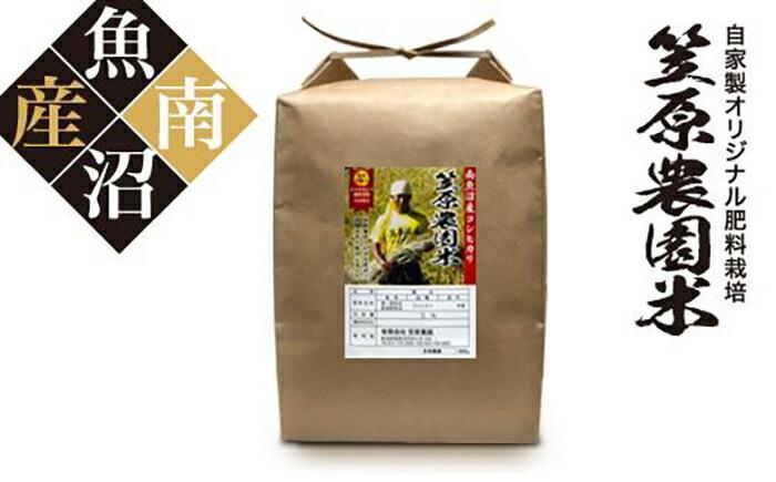 【令和6年産新米予約／令和6年10月上旬より順次発送】南魚沼産 笠原農園米 コシヒカリ 5kg