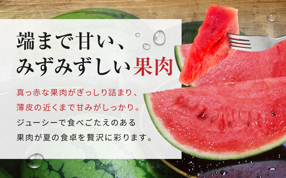 先行予約【高級】八色原すいか小玉２玉【2026年7月中旬発送】【お届け日時指定不可】