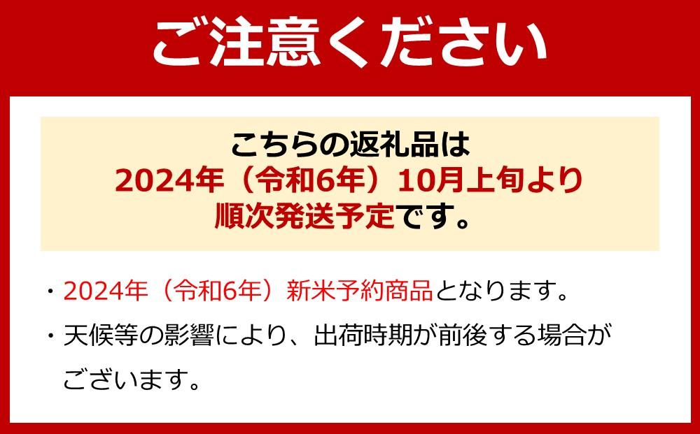 【令和6年産 新米予約】南魚沼産コシヒカリ（白米20kg×全6回）新潟県 特A地区の美味しいお米。【令和6年10月上旬より順次発送予定】