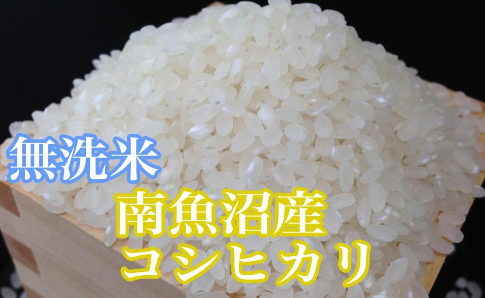 縲蝉サ、蜥7蟷エ逕」縲鯛酪蜷溽イセ 辟。豢礼アウ笳丞漉鬲壽イシ逕」繧ウ繧キ繝偵き繝ェ5kg